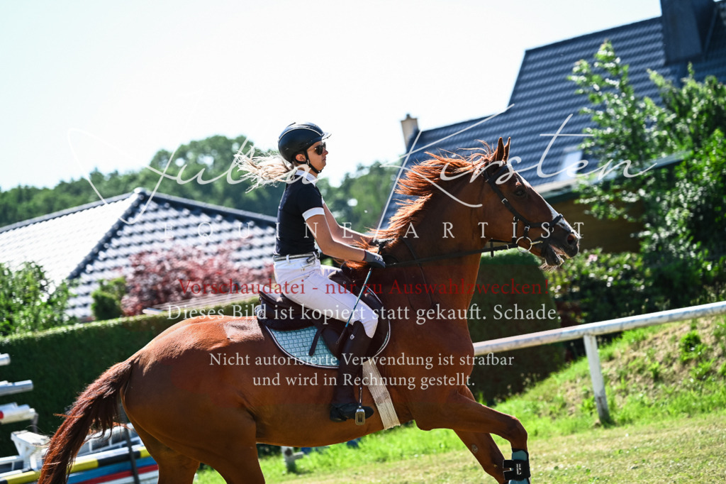 DSC_1244 | Pferde- und Turnierfotografie in Westsachsen. Pferdeportraits, Auftragszeichnungen und intuitive Kunst.