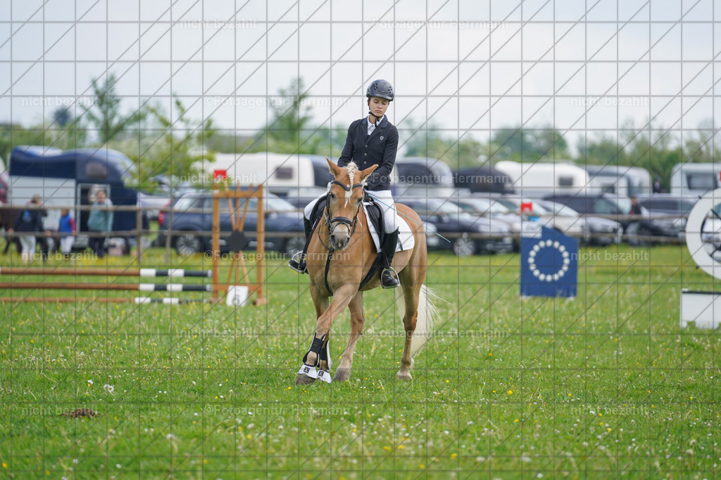 20240509-FAH02304 | Turnierbilder der Turnierfotografen Bayern, Pferdesport Fotografie, Reitsportbilder, Turnier Landberg am Lech, Turnierbilder bayern, Fotoagentur Herrmann