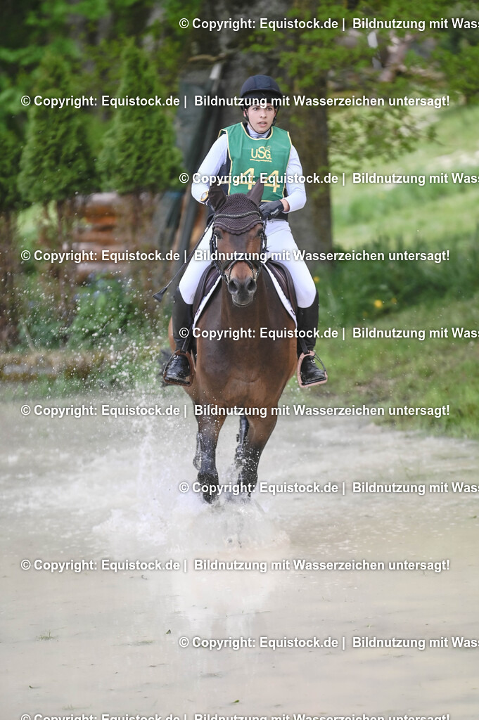 20250517_CCI1_Gelände_0599 | Foto: Thomas Hartig
