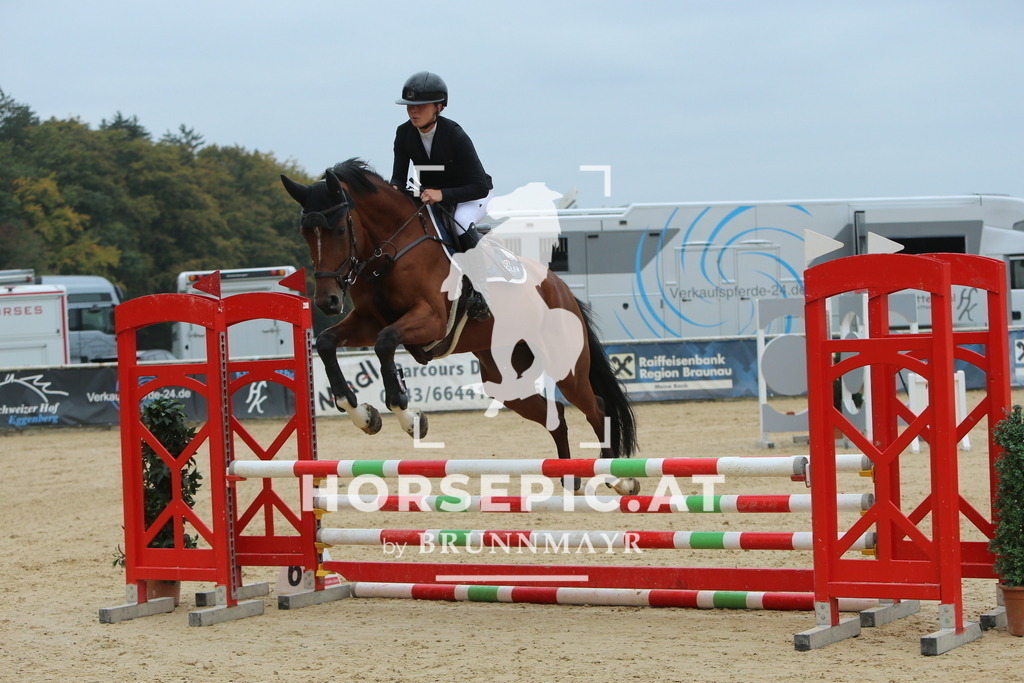DL2Q4079 | Willkommen bei Brunnmayr - Design & Fotografie – Ihrem Spezialisten für Reitturniere und Pferdeveranstaltungen in Oberösterreich, Salzburg und Bayern! Seit über 17 Jahren sind wir leidenschaftlich dabei.