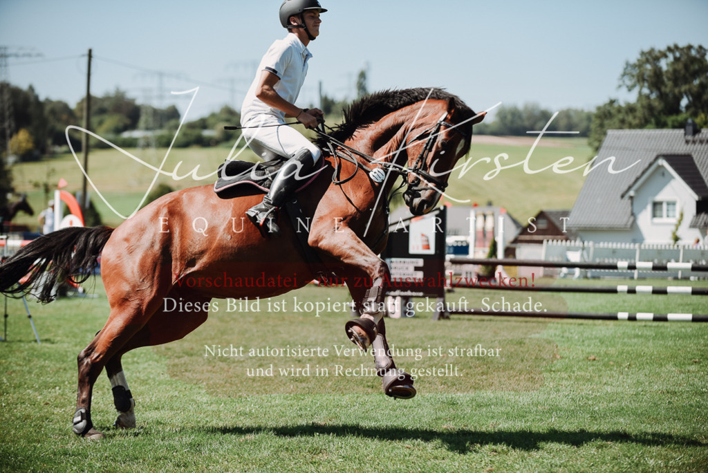 DSC_3018 | Pferde- und Turnierfotografie in Westsachsen. Pferdeportraits, Auftragszeichnungen und intuitive Kunst.