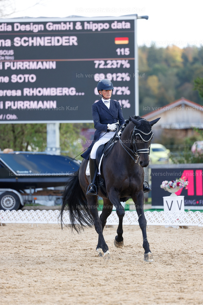 09_1-115-DRESSUR  S_  -StoibPH-5603 | working equitationturnier fotograf videograf stoibphotography marixx film working equitation deutschland reitsport turnierfotografie eventfotografie equestrian events