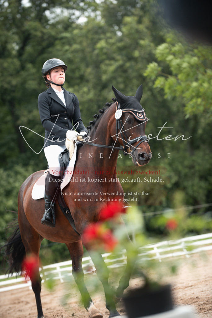 DSC_9605 | Pferde- und Turnierfotografie in Westsachsen. Pferdeportraits, Auftragszeichnungen und intuitive Kunst.