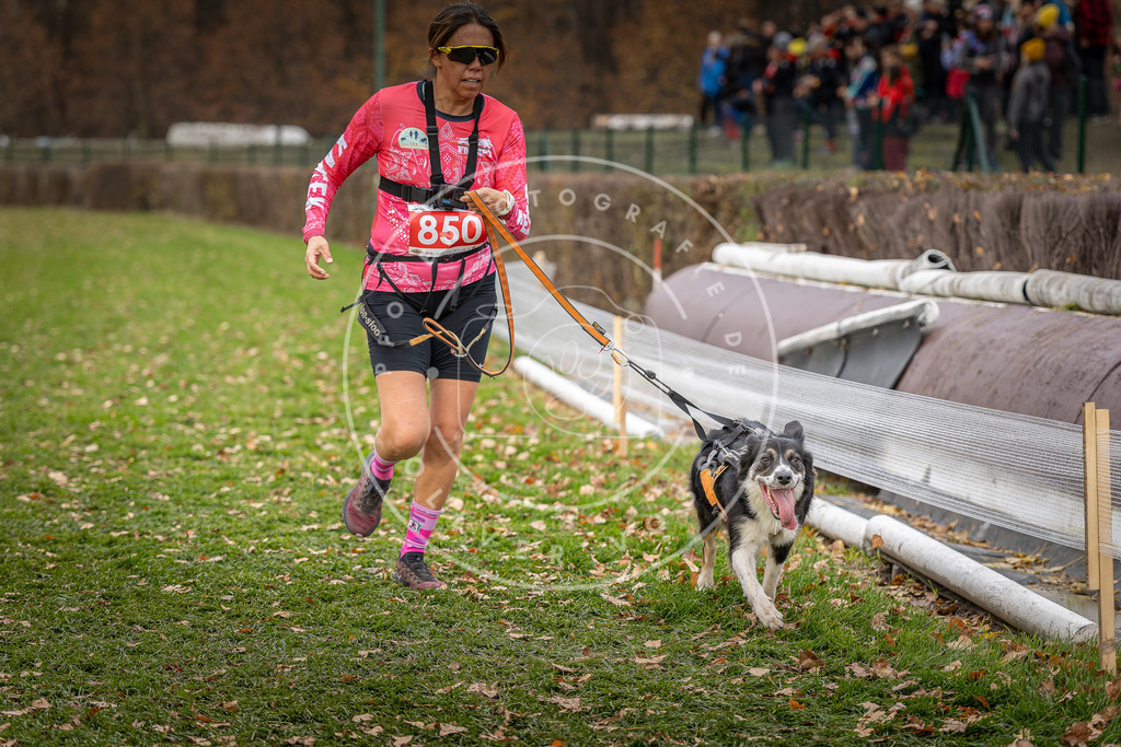 CaniXpix_DV3A6502 | Hundefotografie, Tierfotograf, Pfotenfotografie, Fotoshooting Hund, Hunde Portrait, Hundesport, Hundeportraits, Heideshooting, Hunde, Sportfotograf, Hundefotograf, Turnierhundsport, THS,  - Realisiert mit Pictrs.com