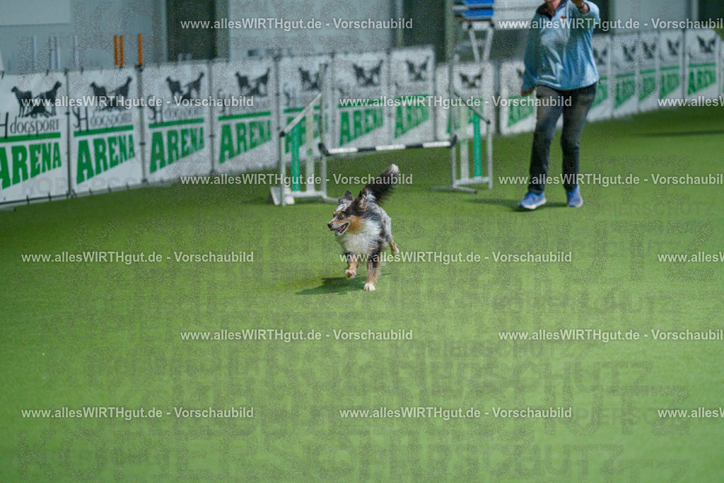 @allesWIRTHgut_Tierfotografie - www.allesWIRTHgut.de - 2604250842-7R507504 | Professionelle Tierfotografie in Mönchengladbach von Daniel Wirth (allesWIRTHgut). Liebevolle & natürliche Bilder von Hunden & Katzen für unvergessliche Erinnerungen.