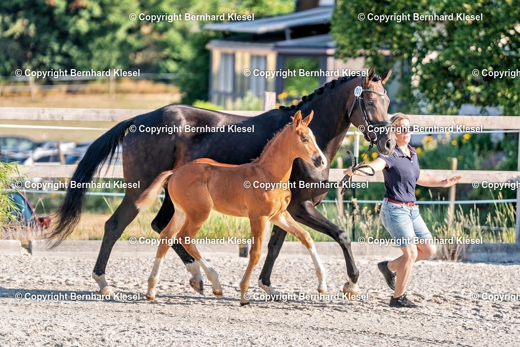 2A905395 | foto-team-bernhard - Realisiert mit Pictrs.com