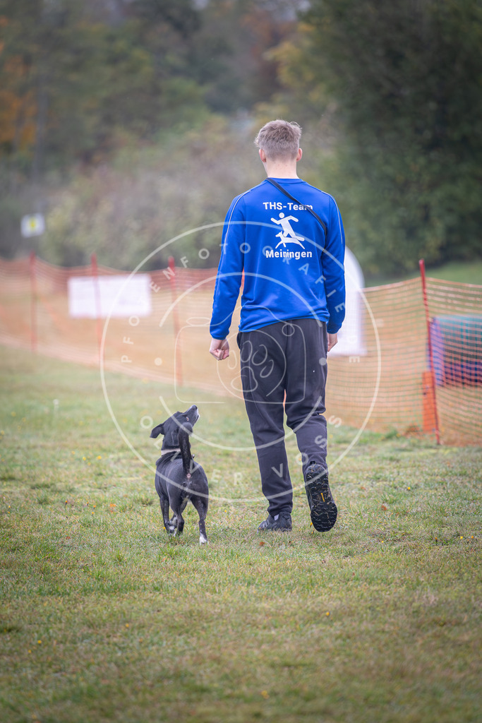 Pfotenfotografie_DV3A8876 | Hundefotografie, Tierfotograf, Pfotenfotografie, Fotoshooting Hund, Hunde Portrait, Hundesport, Hundeportraits, Heideshooting, Hunde, Sportfotograf, Hundefotograf, Turnierhundsport, THS,  - Realisiert mit Pictrs.com