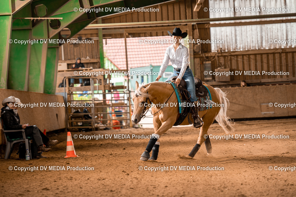 BA400577 | dv-media-shop - Realisiert mit Pictrs.com