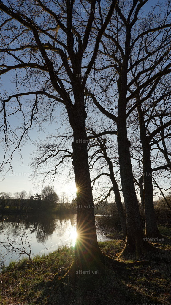 Morgenzauber | Hausweiher, Westerwald, Deutschland - Realisiert mit Pictrs.com