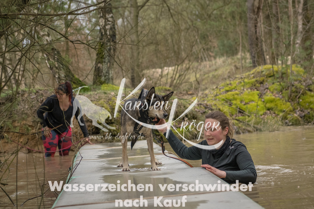 1037_ZZ93054-Bearbeitet | kk-dogfotos