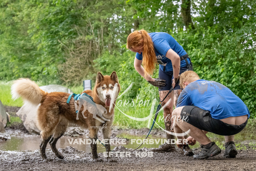 1553_ZZ90780-Bearbeitet | kk-dogfotos