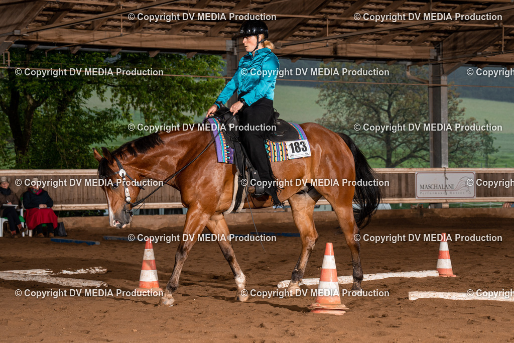 Erbach Tag 3-373 | dv-media-shop - Realisiert mit Pictrs.com