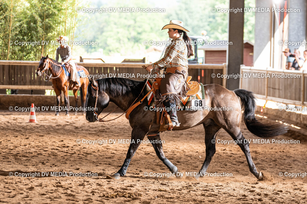 Erbach Tag 1-1008 | dv-media-shop - Realisiert mit Pictrs.com