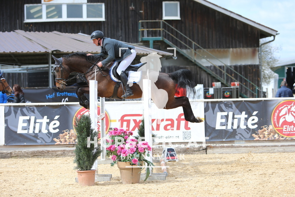 DL2Q9851 | Willkommen bei Brunnmayr - Design & Fotografie – Ihrem Spezialisten für Reitturniere und Pferdeveranstaltungen in Oberösterreich, Salzburg und Bayern! Seit über 17 Jahren sind wir leidenschaftlich dabei.