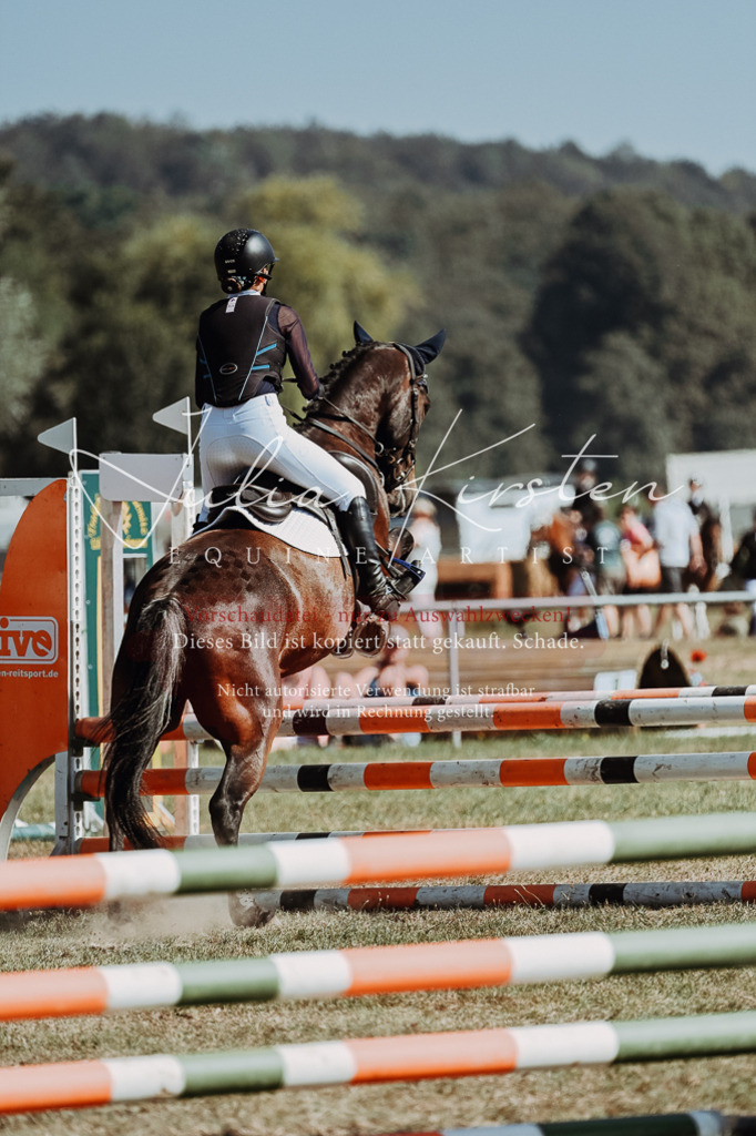 DSC_9499 | Pferde- und Turnierfotografie in Westsachsen. Pferdeportraits, Auftragszeichnungen und intuitive Kunst.