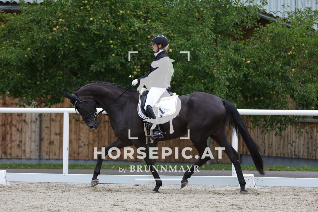 0P6A9158 | Willkommen bei Brunnmayr - Design & Fotografie – Ihrem Spezialisten für Reitturniere und Pferdeveranstaltungen in Oberösterreich, Salzburg und Bayern! Seit über 17 Jahren sind wir leidenschaftlich dabei.