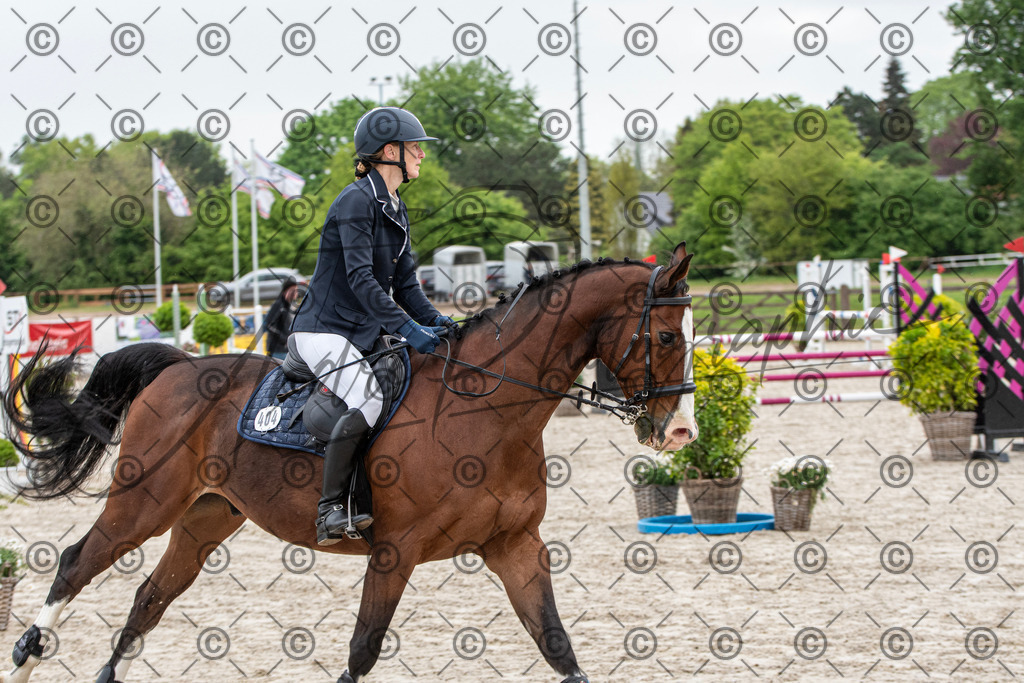 KPT_7460 | andre_photographic