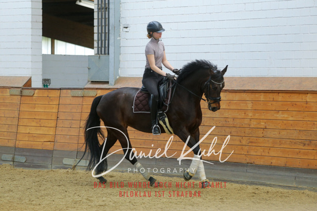 IMG_3518 | Turniersportfotografie; Pferdefotografie; Dressurfotografie