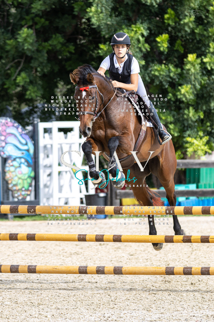 IMG_2921 | s-jay-photography - Realisiert mit Pictrs.com