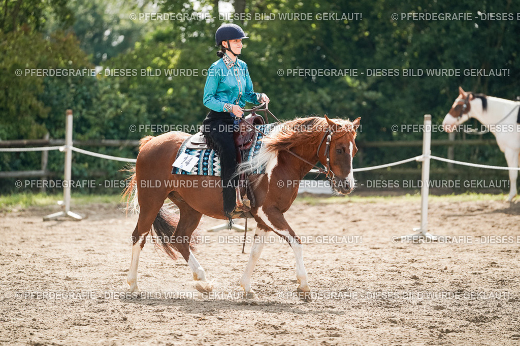 DSC04884 | Pferdegrafie