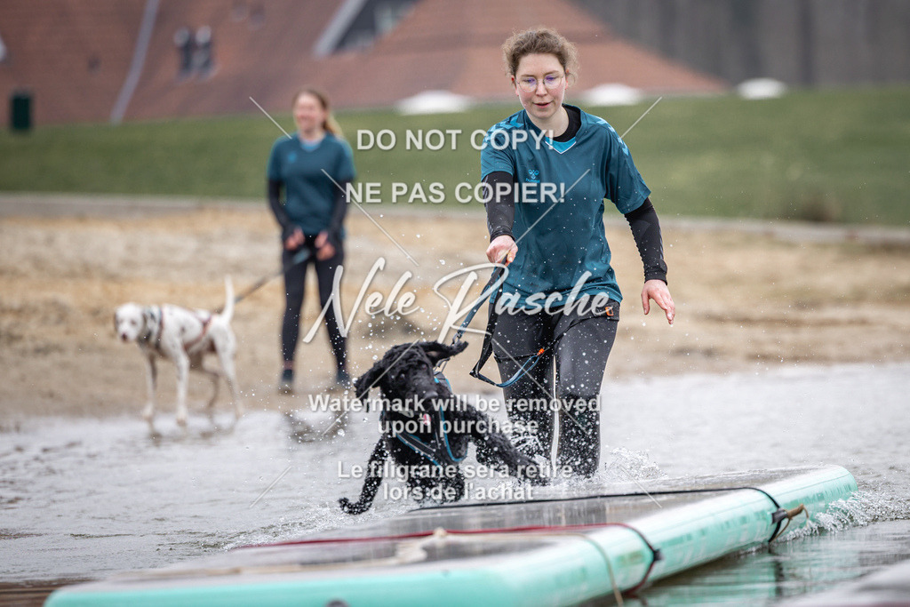 nelerasche_Hulsbeek_Sa1130-1230_262 | nelerasche