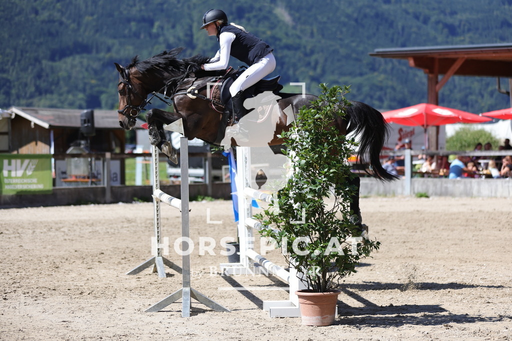 0P6A6171 | Willkommen bei Brunnmayr - Design & Fotografie – Ihrem Spezialisten für Reitturniere und Pferdeveranstaltungen in Oberösterreich, Salzburg und Bayern! Seit über 17 Jahren sind wir leidenschaftlich dabei.