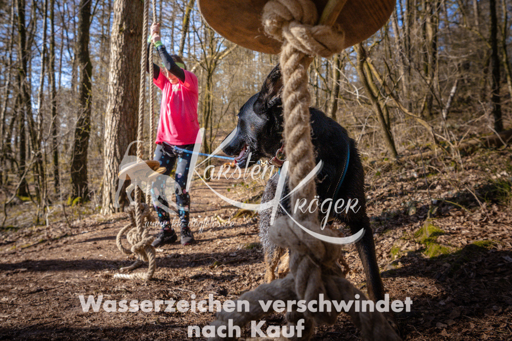 0919_ZZ97223 | kk-dogfotos