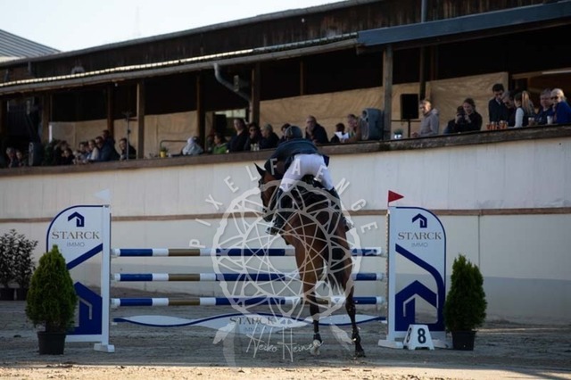 2B4A0794 | pixelfaenger - Realisiert mit Pictrs.com