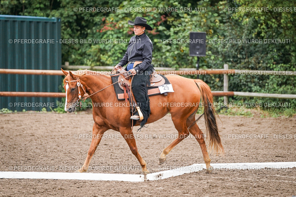 DSC03234 | Pferdegrafie