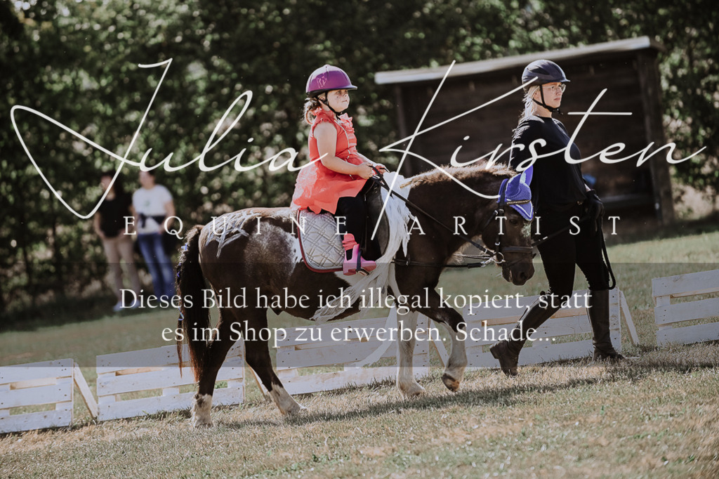 DSC_9096 | Pferde- und Turnierfotografie in Westsachsen. Pferdeportraits, Auftragszeichnungen und intuitive Kunst.