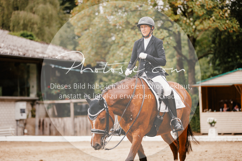 3I6A7681 | Stimmungsvolle Portraits und Reitsportfotografie im Ruhrgebiet und im Münsterland.

Pferdefotografie, Hundefotografie, Tierfotografie, Reportagen, Portraits von Tier und Mensch, Turnierfotografie in Bochum, Recklinghausen, Marl, Haltern am See, Dülmen.. - Realisiert mit Pictrs.com