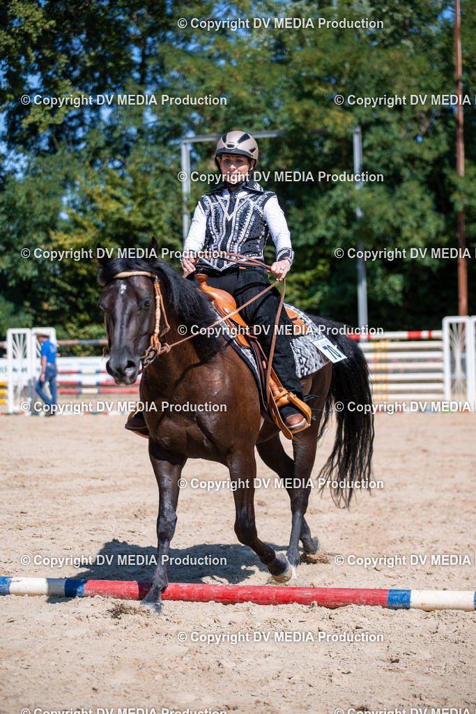 ZS1_0925 | dv-media-shop - Realisiert mit Pictrs.com