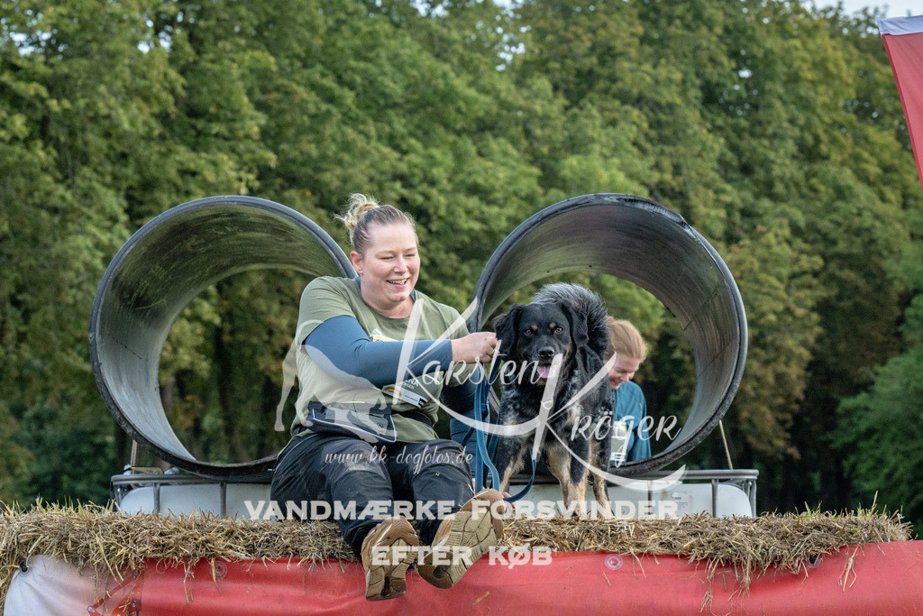 1053_ZZ93357 | kk-dogfotos
