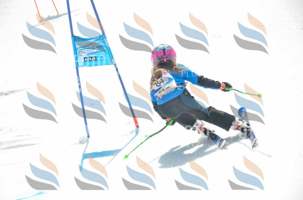 _ELE5607 | holidayphoto