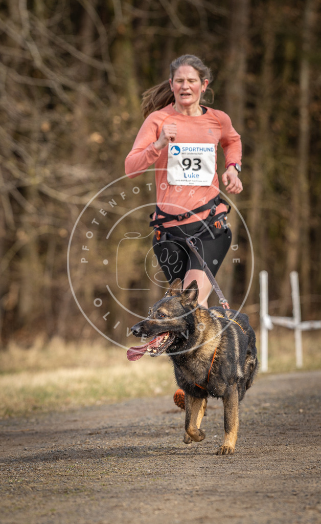 DV3A3989 | Hundefotografie, Tierfotograf, Pfotenfotografie, Fotoshooting Hund, Hunde Portrait, Hundesport, Hundeportraits, Heideshooting, Hunde, Sportfotograf, Hundefotograf, Turnierhundsport, THS,  - Realisiert mit Pictrs.com