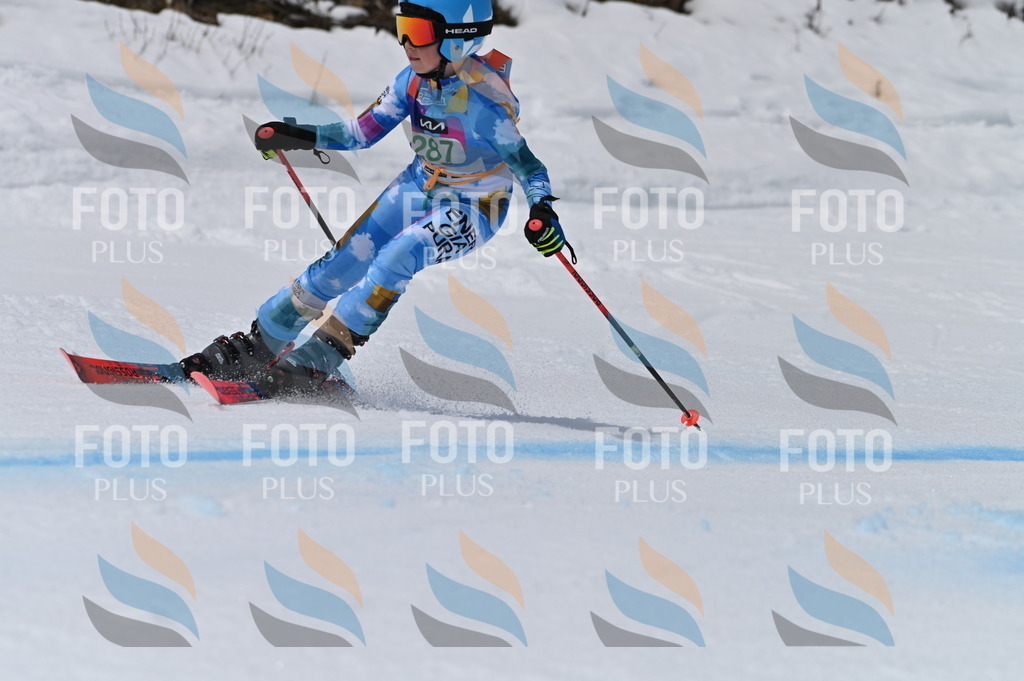 BGV_5737 | holidayphoto