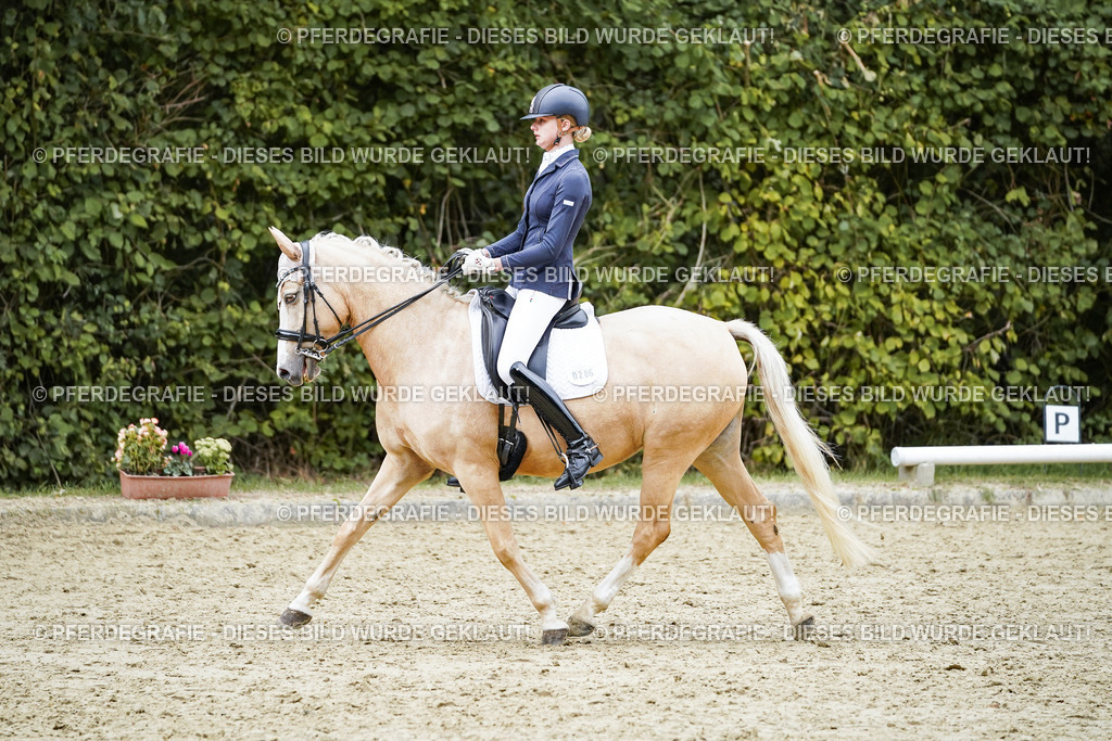 DSC07458 | Pferdegrafie