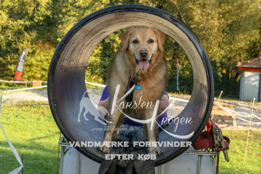 1707_ZZ90661 | kk-dogfotos