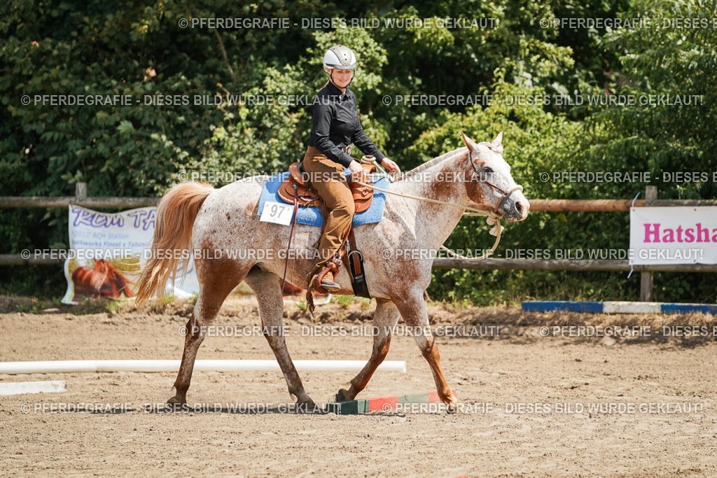 DSC06345 | Pferdegrafie