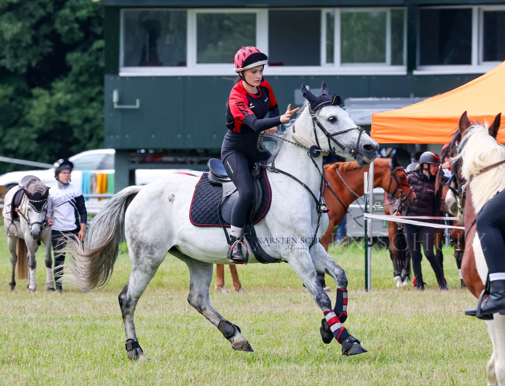 1B3A2112 | Reitsport Reiten