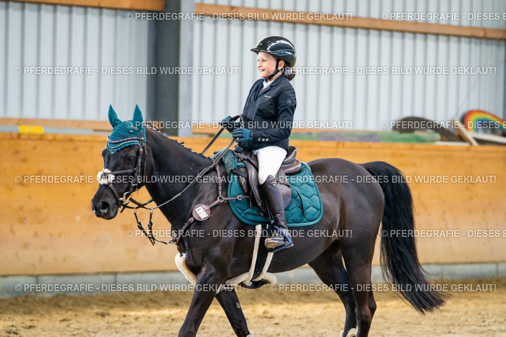 DSC01002 | Pferdegrafie