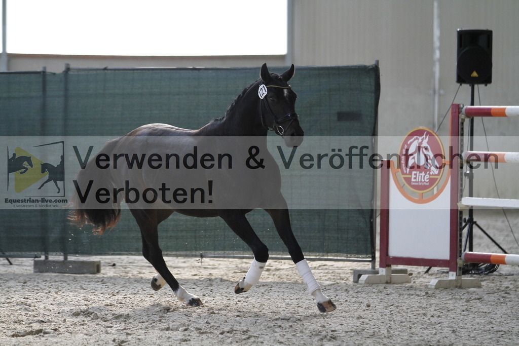 _MG_9512 | equestrian-live-com