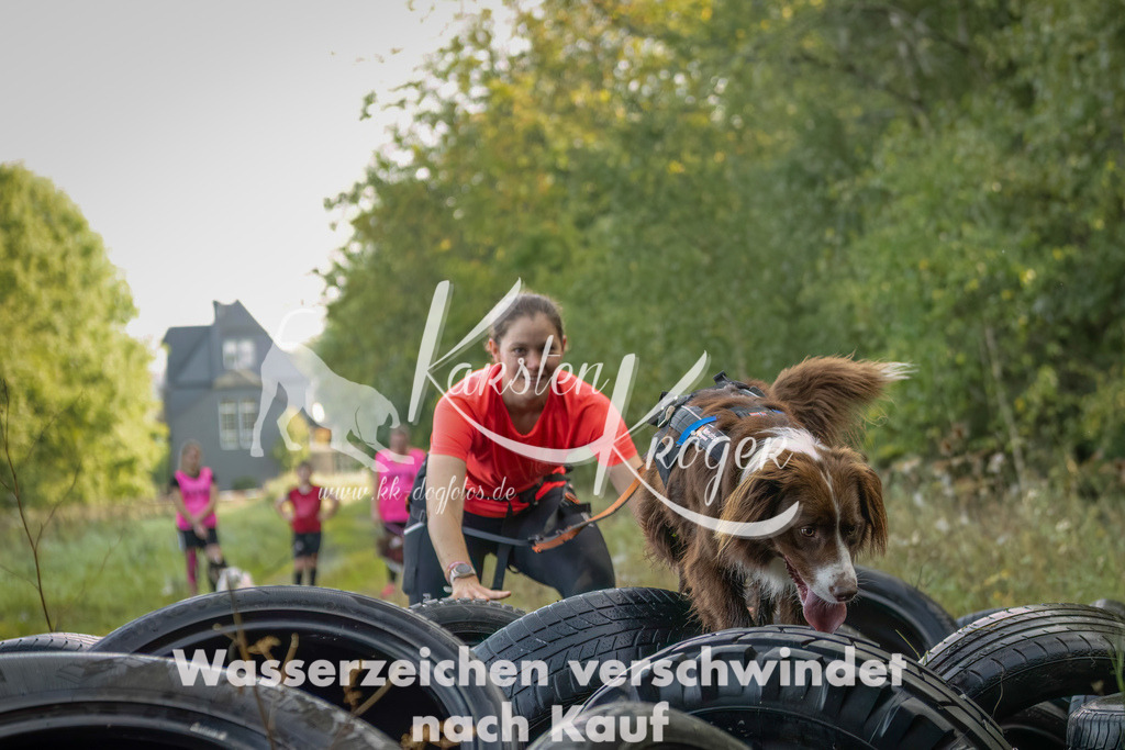 1030_ZZ94542-Bearbeitet-2 | kk-dogfotos