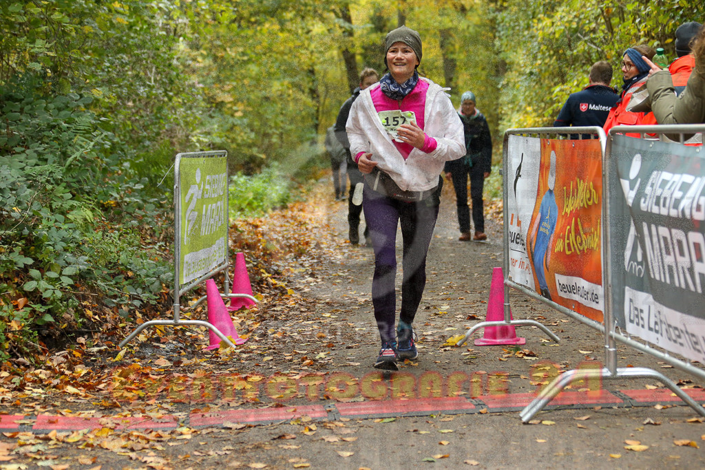 251026_1359_EX1_4078 | Sportfotografie im Rhein-Sieg Kreis, Köln, Bonn, NRW, Rheinland Pfalz, Hessen, etc. Unser Tätigkeitsfeld umfasst den Laufsport vom Volkslauf über den Marathon, Duathlon, Triathon bis zum Ultralauf wie Kölnpfad Ultra oder Schindertrail.