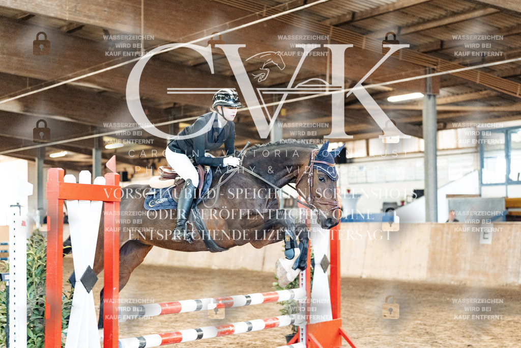CK903822 | Turnierfotografie Pferdefotografie Trier Rheinland-Pfalz Pferdesport Reitsport Tierfotografie Sportfotografie Pferdevideo Pferdevideografie Equestrianvideography equestrianphotography  - Realized with Pictrs.com