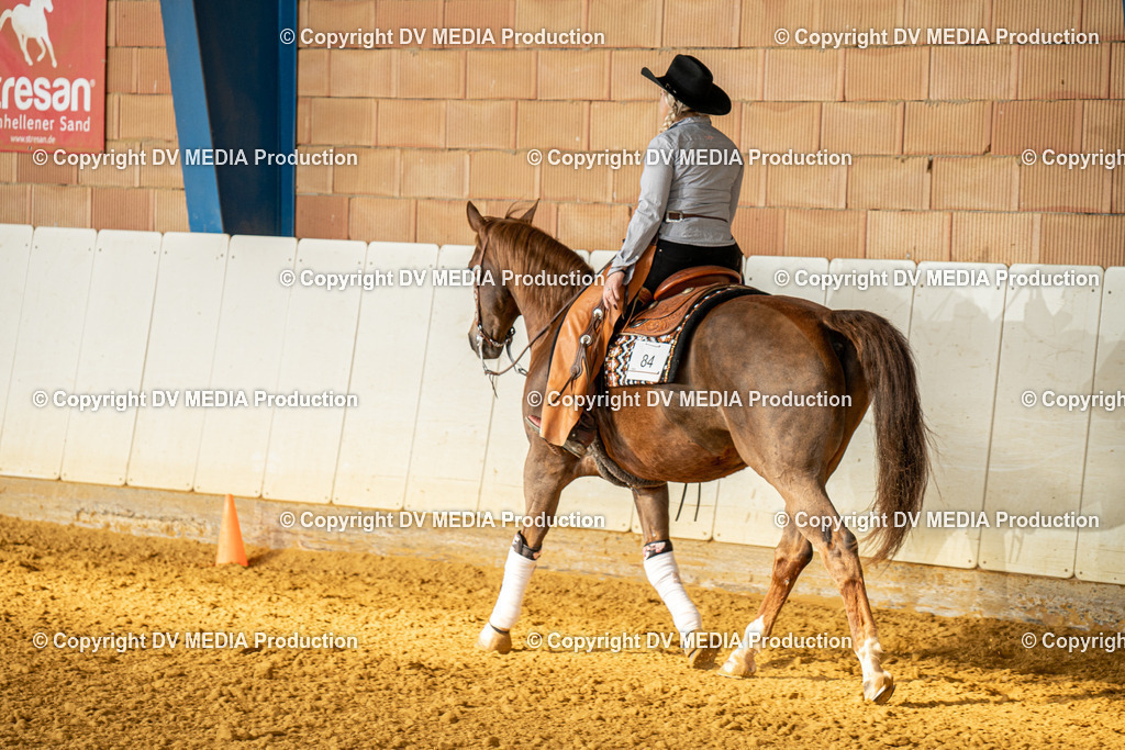 MIT00705 | dv-media-shop - Realisiert mit Pictrs.com