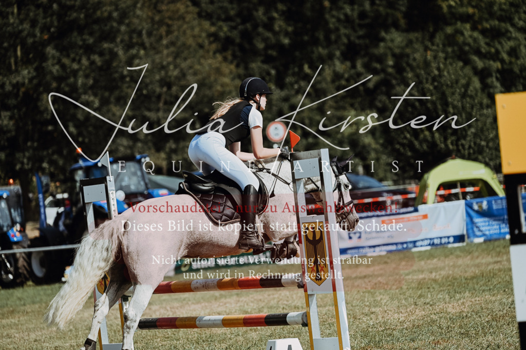 DSC_9445 | Pferde- und Turnierfotografie in Westsachsen. Pferdeportraits, Auftragszeichnungen und intuitive Kunst.