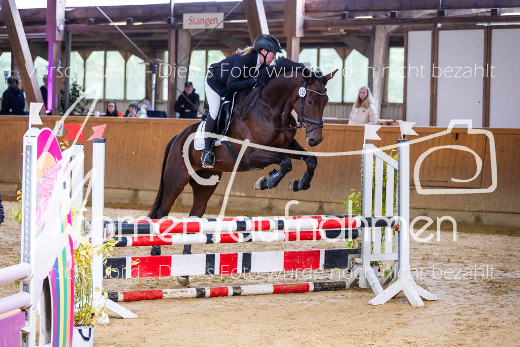 Sth-A-Springen-033 | MomenTaufnahmen Pferdesportfotos