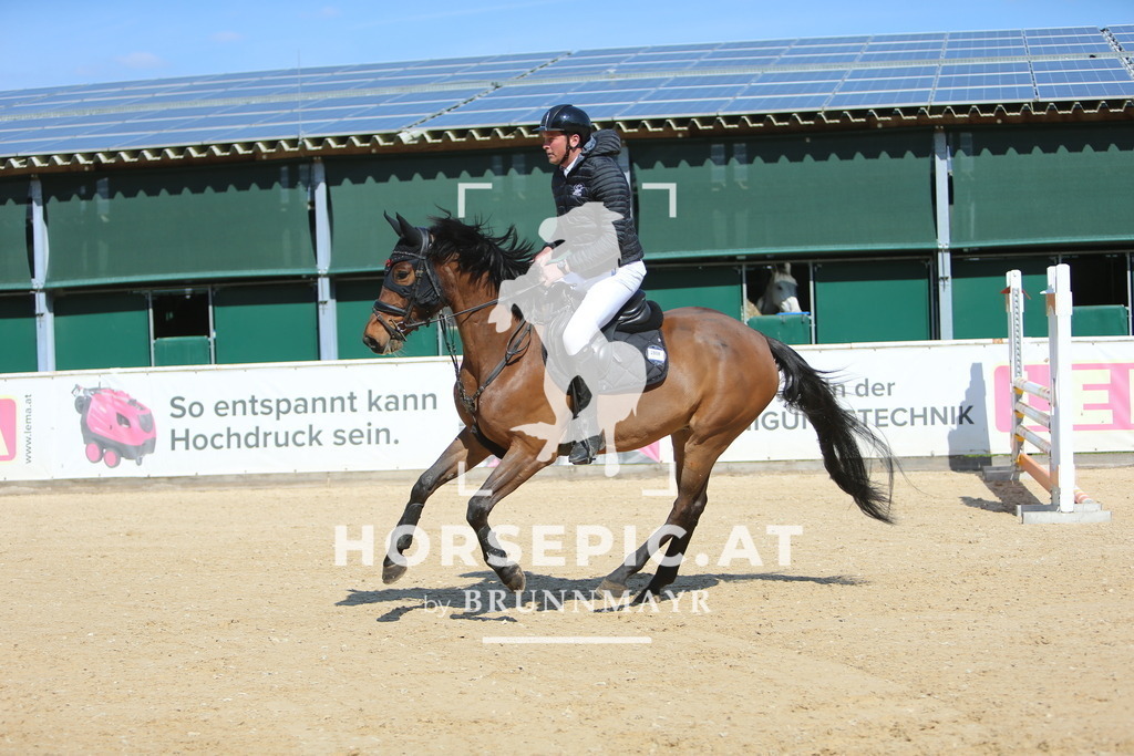 DL2Q3005 | Willkommen bei Brunnmayr - Design & Fotografie – Ihrem Spezialisten für Reitturniere und Pferdeveranstaltungen in Oberösterreich, Salzburg und Bayern! Seit über 17 Jahren sind wir leidenschaftlich dabei.