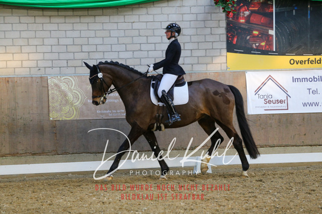IMG_2720 | Turnierfotos kaufen im Webshop von Daniel Kuhl Photography – entdecke professionelle Reitsportfotos aus Turnieren & Events. Hochwertige Turnierbilder online bestellen & sichern. Jetzt Fotos von Reitsportturnieren kaufen!